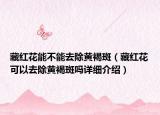藏红花能不能去除黄褐斑（藏红花可以去除黄褐斑吗详细介绍）