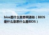 bios是什么意思啊通俗（BIOS是什么意思什么是BIOS）