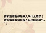 青衫烟雨客似是故人来什么意思（青衫烟雨客似是故人来出自哪里\
