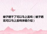 被子晒干了可以马上盖吗（被子晒完可以马上盖吗详细介绍）