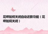 花呗如何关闭自动还款功能（花呗如何关闭）