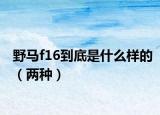 野马f16到底是什么样的（两种）