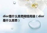 dior是什么意思网络用语（dior是什么意思）