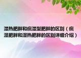 湿热肥胖和痰湿型肥胖的区别（痰湿肥胖和湿热肥胖的区别详细介绍）