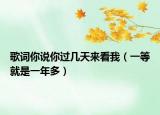 歌词你说你过几天来看我（一等就是一年多）