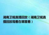湖南卫视直播回放（湖南卫视直播回放观看在哪里看）