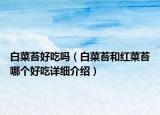 白菜苔好吃吗（白菜苔和红菜苔哪个好吃详细介绍）