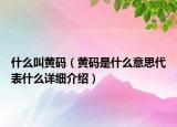 什么叫黄码（黄码是什么意思代表什么详细介绍）