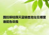国控碧桂园天蓝销售地址在哪里谁能告诉我