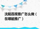沈阳百度推广怎么做（在哪能推广）