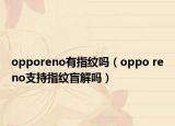 opporeno有指纹吗（oppo reno支持指纹盲解吗）