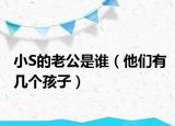 小S的老公是谁（他们有几个孩子）