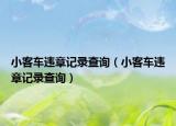 小客车违章记录查询（小客车违章记录查询）