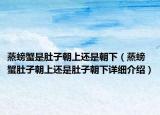 蒸螃蟹是肚子朝上还是朝下（蒸螃蟹肚子朝上还是肚子朝下详细介绍）