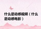什么是动感视频（什么是动感电影）