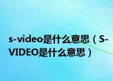 s-video是什么意思（S-VIDEO是什么意思）