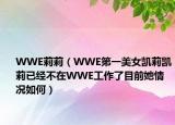 WWE莉莉（WWE第一美女凯莉凯莉已经不在WWE工作了目前她情况如何）