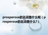 prosperous的名词是什么呢（prosperous的名词是什么?）