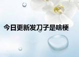 今日更新发刀子是啥梗