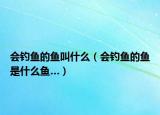 会钓鱼的鱼叫什么（会钓鱼的鱼是什么鱼…）