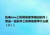 机电bim工程师需要学哪些软件（想当一名软件工程师需要学什么呢（2））