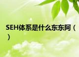 SEH体系是什么东东阿（）
