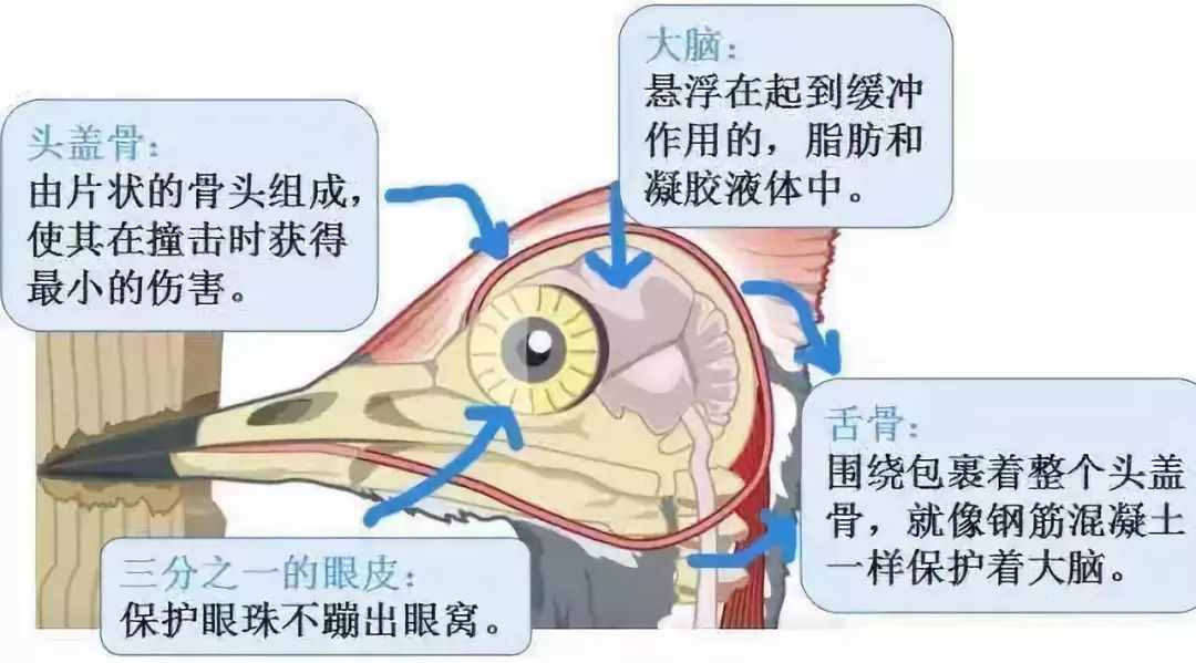 冷知识