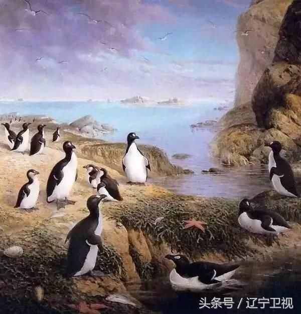 北极熊为什么不吃企鹅？因为北极的企鹅被人类吃光了