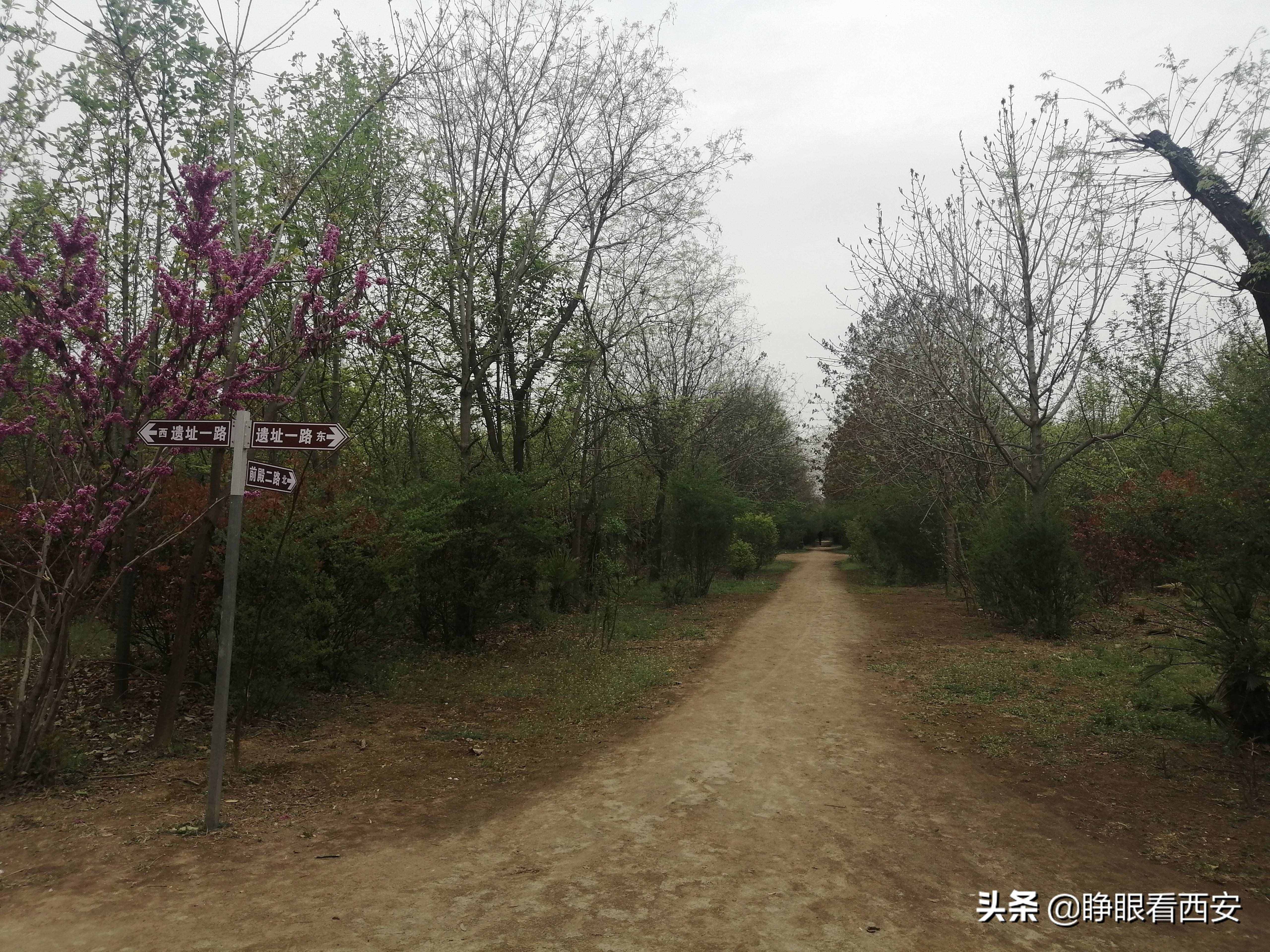 秦·阿房宫遗址：世界最大的宫殿基址，一个前殿相当于90个足球场