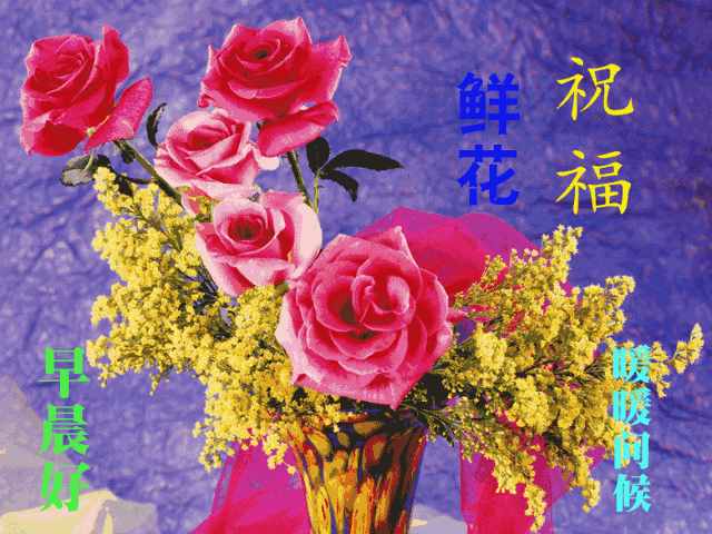 11月13日清晨早安问候简短语句，发朋友圈最暖心的祝福句子