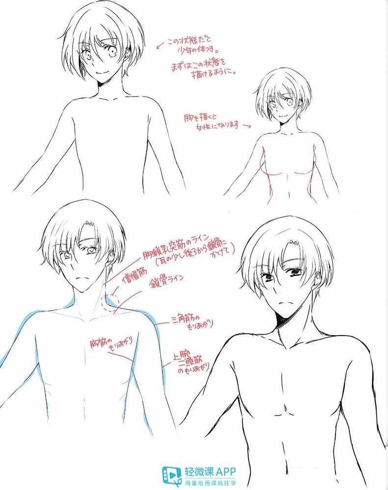 漫画人物很难画？手把手教你学会画