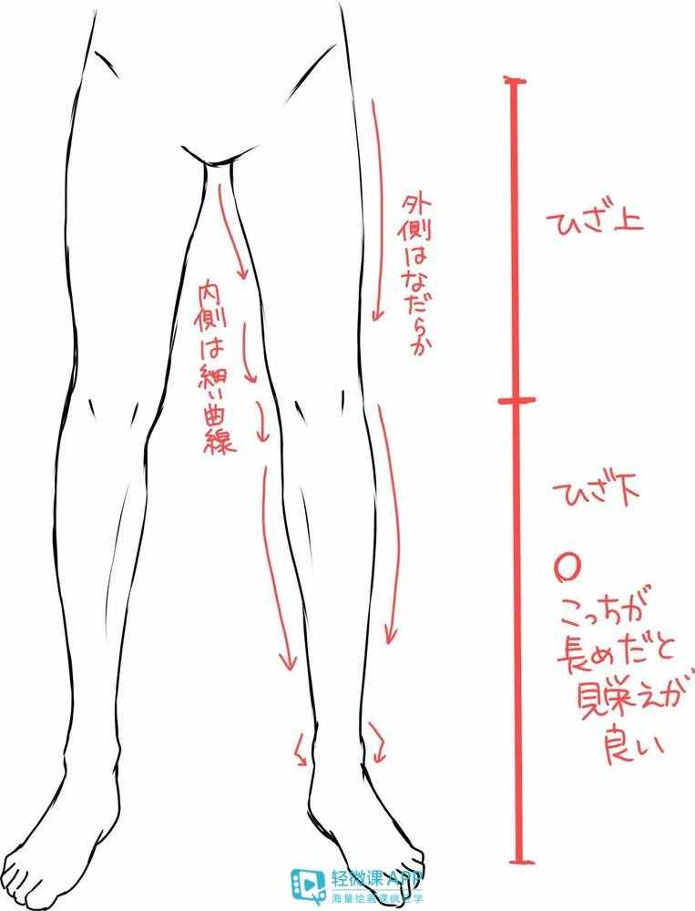 漫画人物很难画？手把手教你学会画
