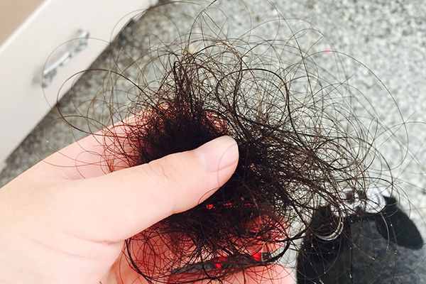 蛋白质不足，免疫力低？优质蛋白食物排行，第一名当之无愧