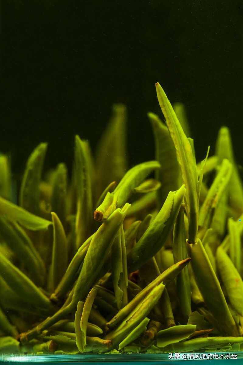 中国十大名茶，每天喝茶的你知道吗？