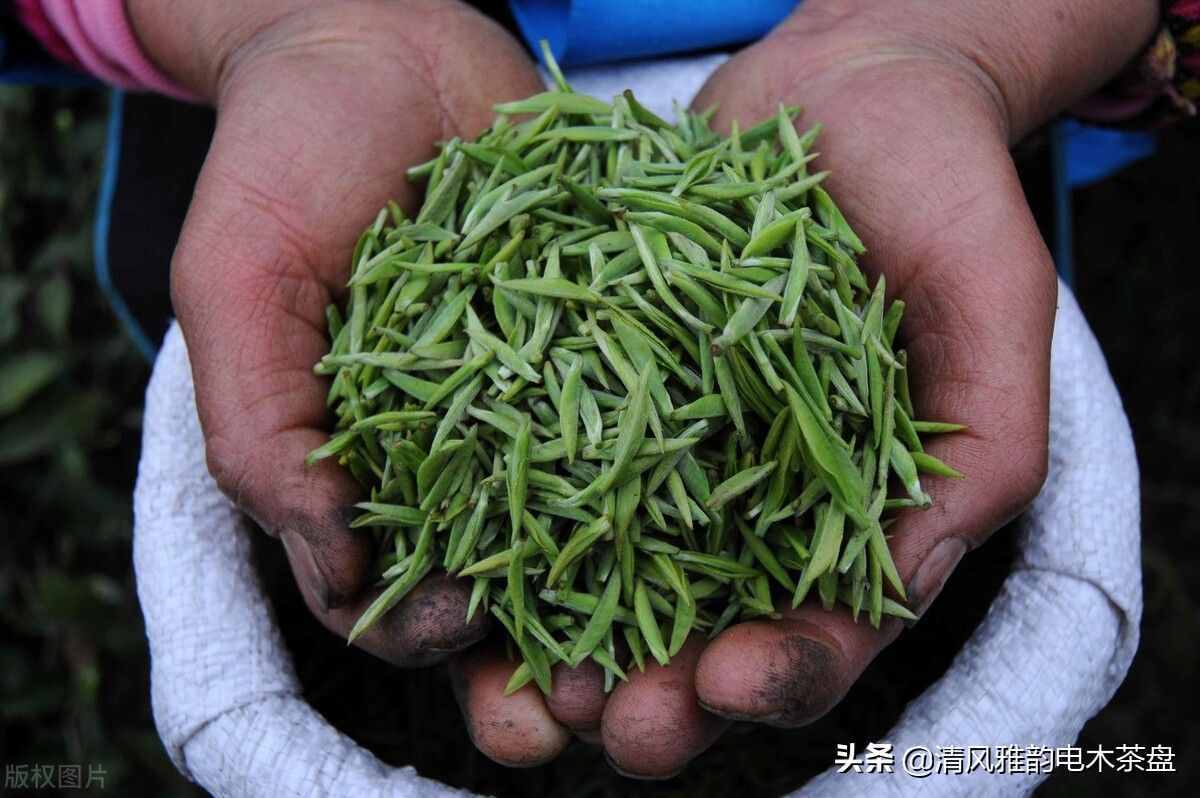 中国十大名茶，每天喝茶的你知道吗？