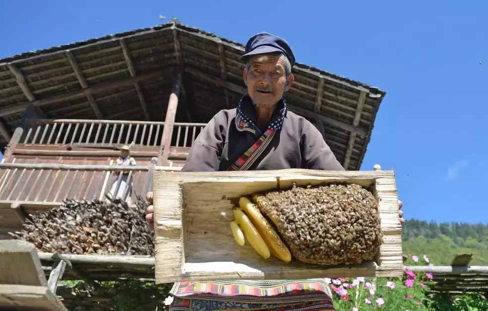中国最贫困的“三区三州”是哪里？他们现在怎么样啦？