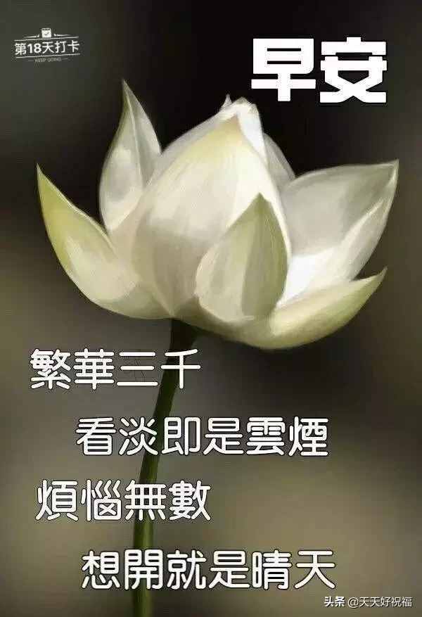 朋友圈日常祝福问候语录，温馨的短信祝福语送给你