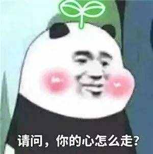 27世界恋爱日？！听说在这天表白不能拒绝哦