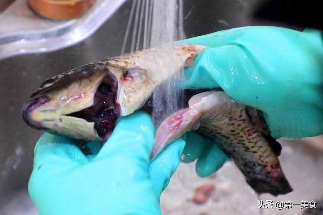 无论炖什么鱼，牢记这3点，炖出来的鱼汤又浓又白，还鲜香没腥味