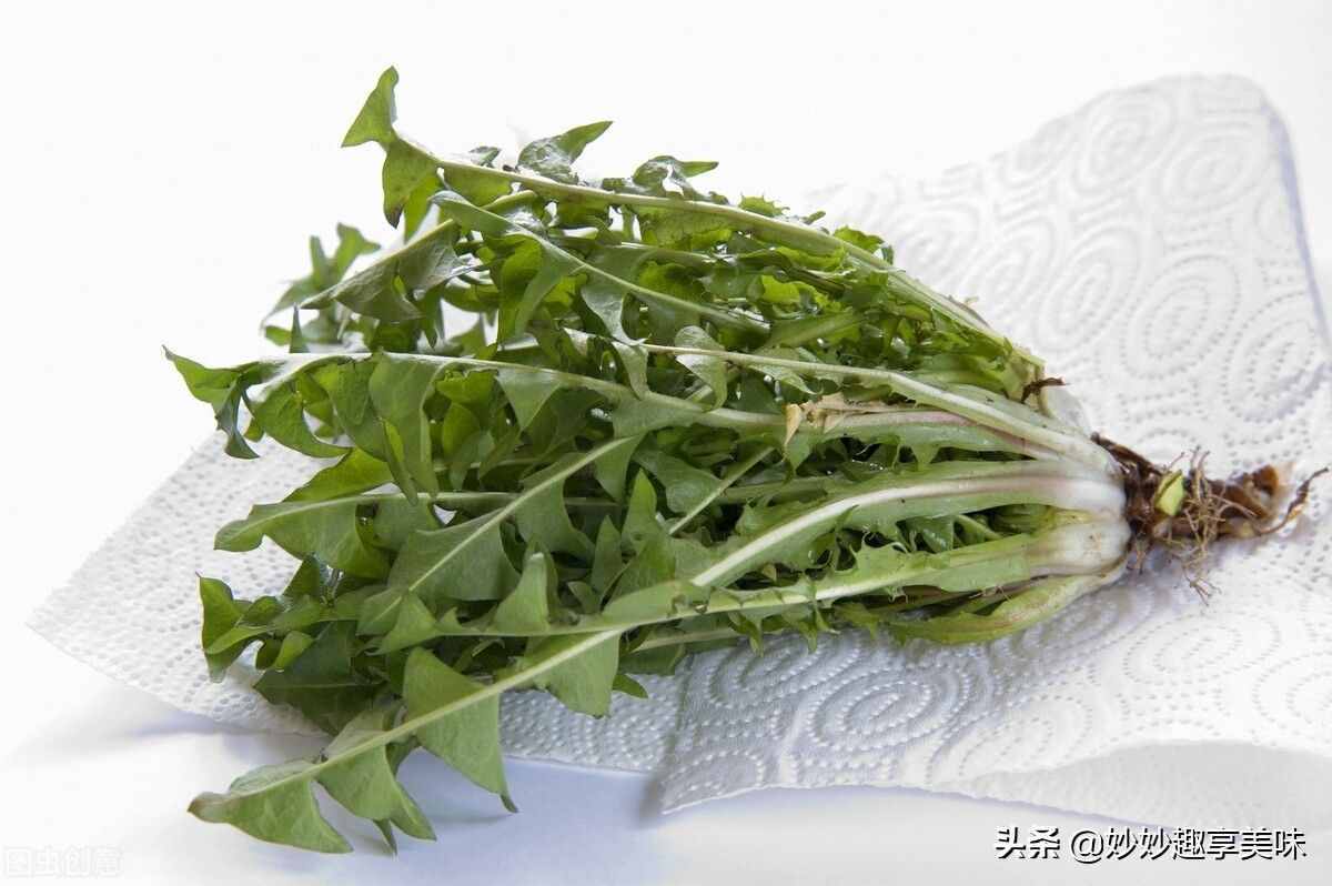 多喝蒲公英茶好处多，教你四步轻松自制，做一次喝一年，干净卫生