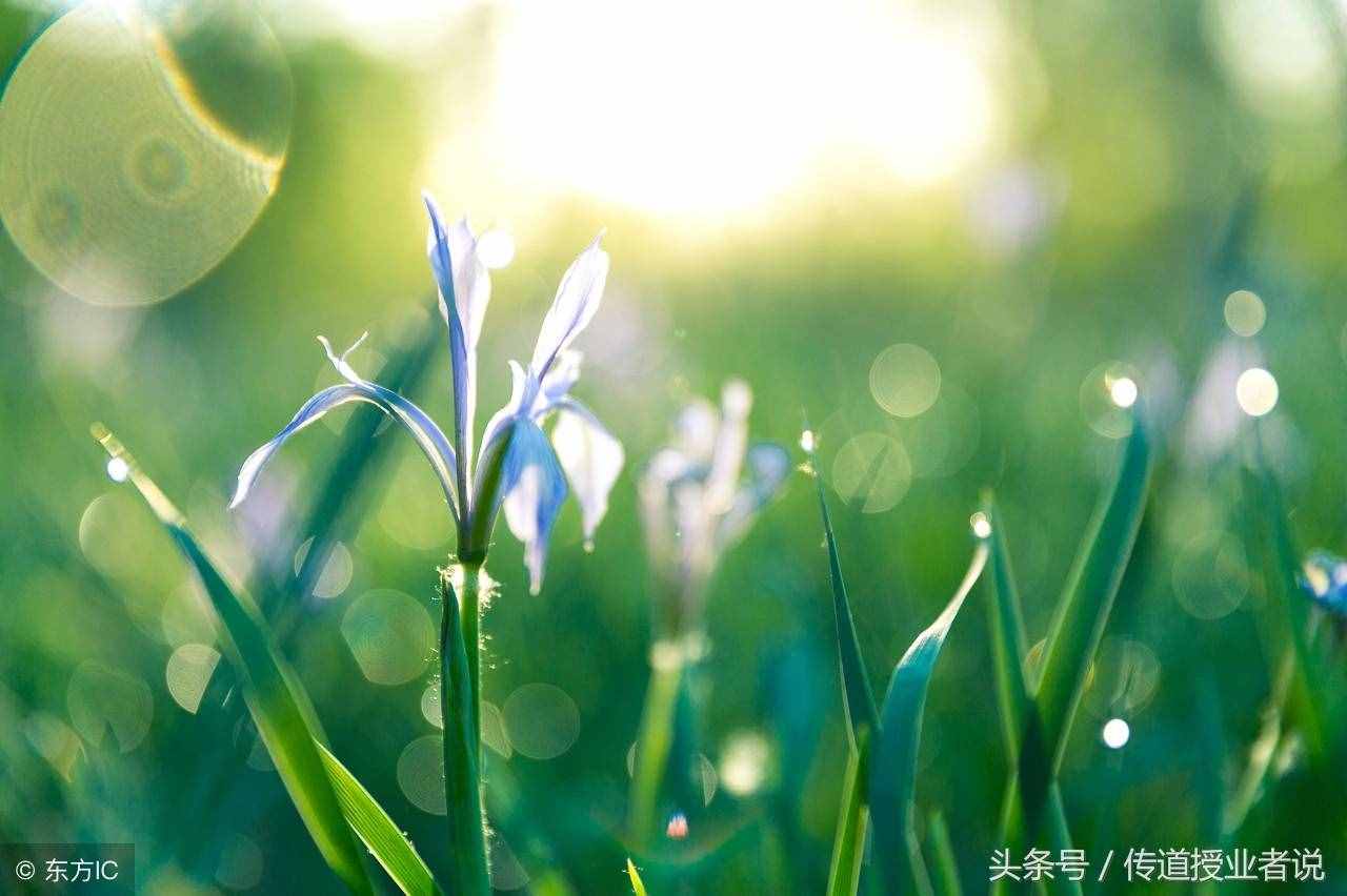 国庆节手抄报文字内容资料大全，国庆节作文、祝福短信、爱国诗歌