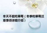 冬天不能吃草莓（冬季吃草莓注意事项详细介绍）