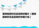 猪蹄前蹄好还是后蹄好图片（猪蹄前蹄好还是后蹄好详细介绍）