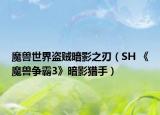魔兽世界盗贼暗影之刃（SH 《魔兽争霸3》暗影猎手）