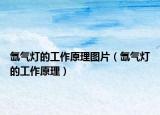 氙气灯的工作原理图片（氙气灯的工作原理）