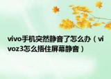 vivo手机突然静音了怎么办（vivoz3怎么捂住屏幕静音）