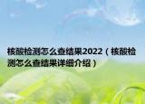 核酸检测怎么查结果2022（核酸检测怎么查结果详细介绍）