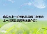 扇贝肉上一坨黄色是屎吗（扇贝肉上一坨黑色是屎吗详细介绍）