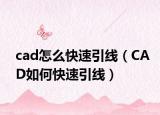 cad怎么快速引线（CAD如何快速引线）