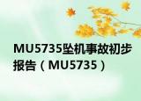 MU5735坠机事故初步报告（MU5735）